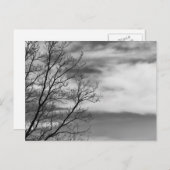 白黒の横長自然写真 ポストカード (正面/裏面)