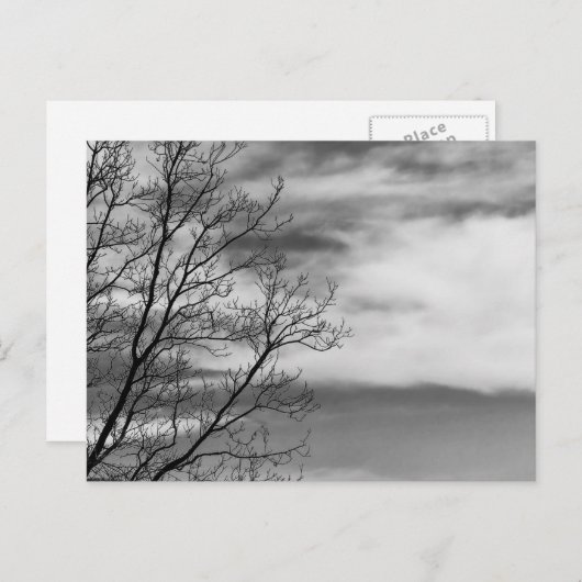 白黒の横長自然写真 ポストカード (正面/裏面)