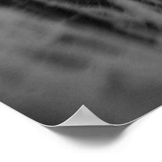 白黒の泣き樺の木 ポスター (角)