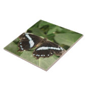 白黒の熱帯性の熱帯性の蝶タイル タイル (側面)
