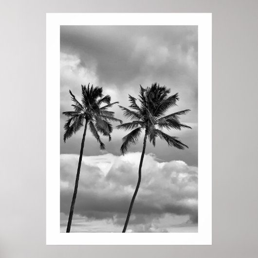 白黒の熱帯性ヤシの木の写真 ポスター (正面)