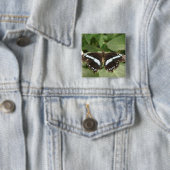 白黒の熱帯蝶ボタン 缶バッジ (インサイチュ)