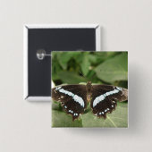 白黒の熱帯蝶ボタン 缶バッジ (正面&裏面)