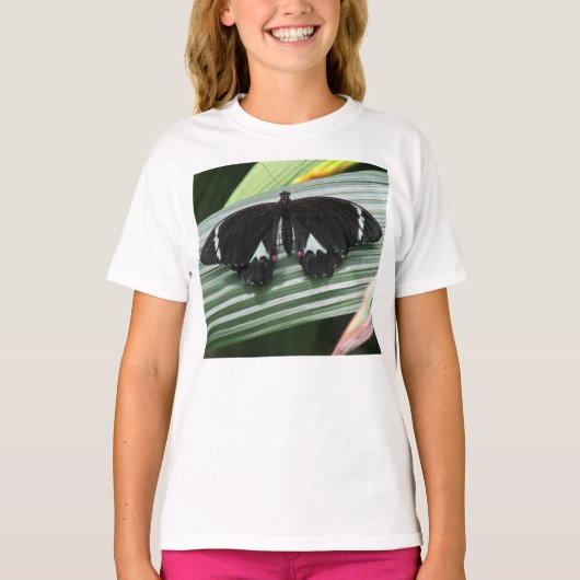 白黒の熱帯蝶 Tシャツ (正面)