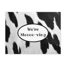 白黒の牛の隠れ見の動く告知