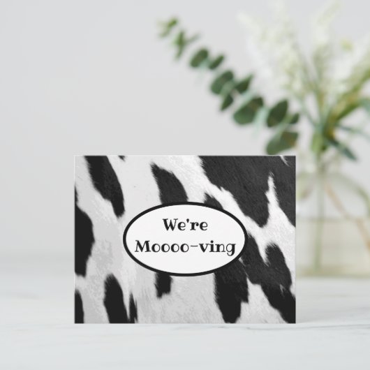 白黒の牛の隠れ見の動く告知 案内ポストカード (スタンド正面)