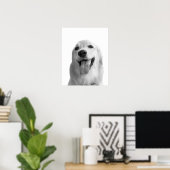 白黒の犬のペット動物のペカブーの写真 ポスター (ホームオフィス)