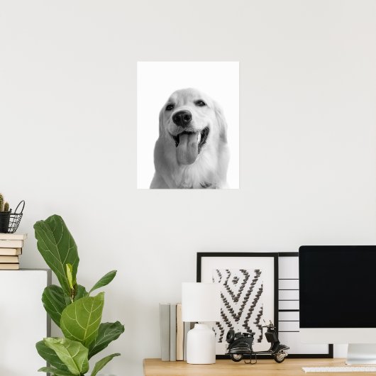 白黒の犬のペット動物のペカブーの写真 ポスター (ホームオフィス)