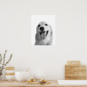 白黒の犬のペット動物のペカブーの写真 ポスター (キッチン)
