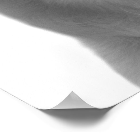 白黒の犬のペット動物のペカブーの写真 ポスター (角)