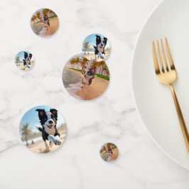 白黒の犬走のビーチ コンフェッティ