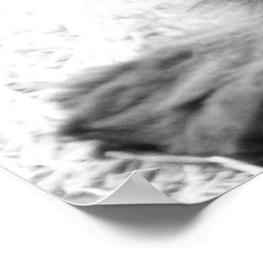 白黒の犬 ポスター (角)