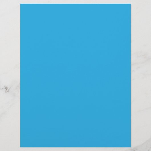 白黒の猫が乗った青い背景 チラシ (正面)