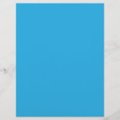 白黒の猫が乗った青い背景 チラシ (裏面)