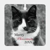 白黒の猫をカスタマイズ メタルオーナメント (裏面)