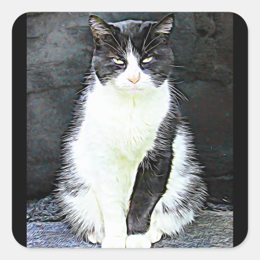 白黒の猫シール スクエアシール (正面)