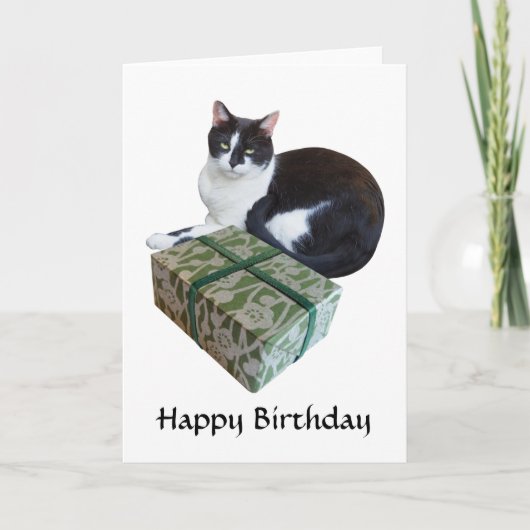 白黒の猫用誕生日カード カード (正面)