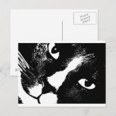 白黒の猫顔 ポストカード (正面/裏面)