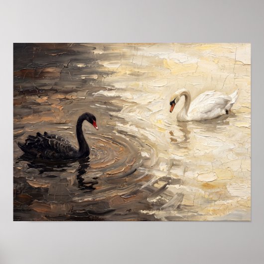 白黒の白鳥の絵画 ポスター (正面)