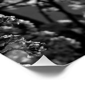 白黒の白黒花の木 ポスター (コーナー)