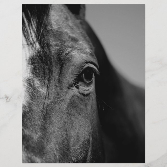 白黒の目のアートワーク (正面)