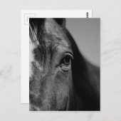 白黒の目のアートワーク ポストカード (正面/裏面)