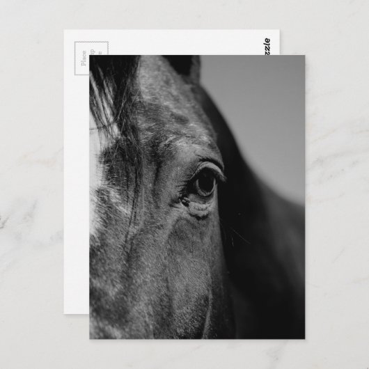 白黒の目のアートワーク ポストカード (正面/裏面)