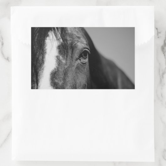 白黒の目のアートワーク 長方形シール (バッグ)