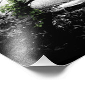 白黒の緑のつる植物 フォトプリント            (角)