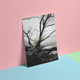 白黒の緑のつる植物 フォトプリント