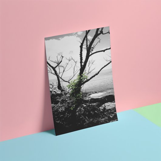 白黒の緑のつる植物 フォトプリント           