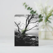 白黒の緑のつる植物 ポストカード (スタンド正面)