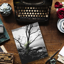 白黒の緑のつる植物 ポストカード