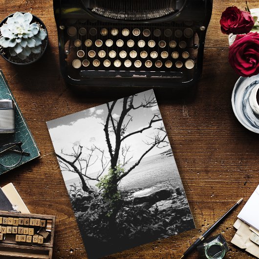 白黒の緑のつる植物 ポストカード