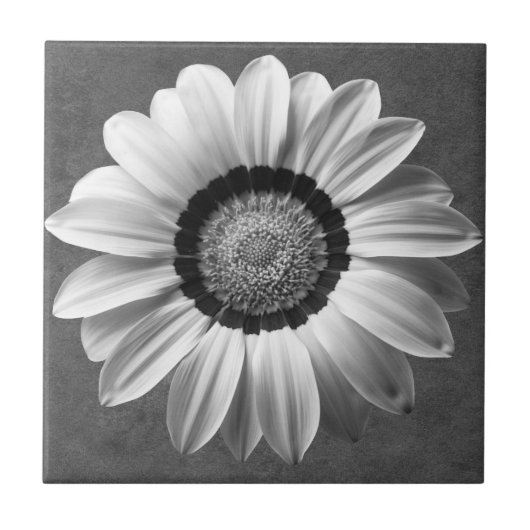 白黒の美しい花 タイル (正面)