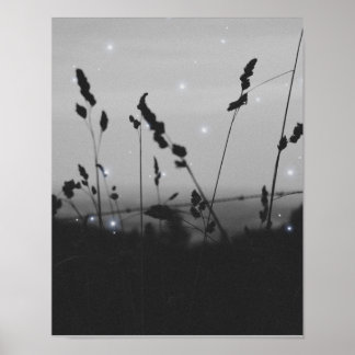 白黒の美意識 ポスター