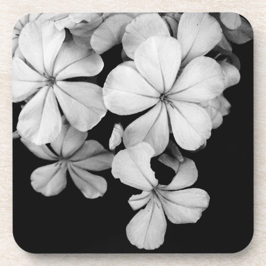 白黒の花のクローズアップ コースター (正面)