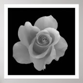 白黒の花の写真 ポスター (正面)