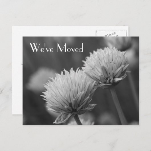 白黒の花の新しい住所 案内ポストカード (正面/裏面)
