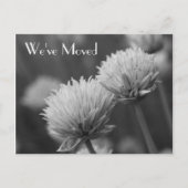 白黒の花の新しい住所 案内ポストカード (正面)
