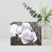 白黒の花はがきエレガント ポストカード (スタンド正面)