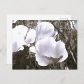 白黒の花はがきエレガント ポストカード (正面/裏面)