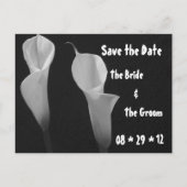 白黒の花はがき 案内ポストカード (正面)