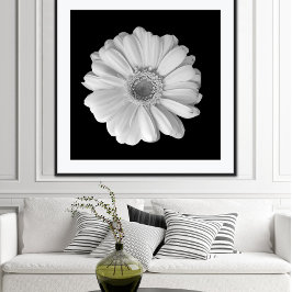 白黒の花写真ポスター ポスター