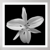 白黒の花写真ポスター ポスター (正面)