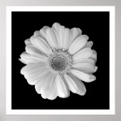 白黒の花写真ポスター ポスター (正面)