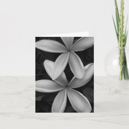 白黒の花折りグリーティングカード カード (正面)