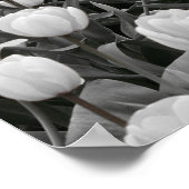 白黒の花畑 ポスター (角)