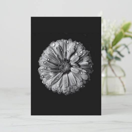 白黒の花10 (スタンド正面)