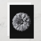 白黒の花10 (正面/裏面)